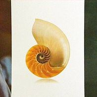 Apple Poster Nautilus -Explore. Inspire. Create.- RARE * Steve Jobs Sammlerstück