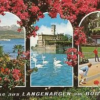 schöne alte AK Langenargen Bodensee