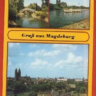 DDR Gruß aus Magdeburg Mehrbild ( 59 ) gel.