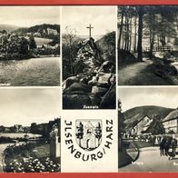 Ilsenburg / Harz Mehrbild SW gel (85)