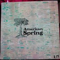 12"AMERICAN SPRING · Same (RAR 1972)