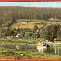 Höxter (Weser) Blick zur Jugendherberge und Wilhelmshöhe gelaufen 1964 (174)