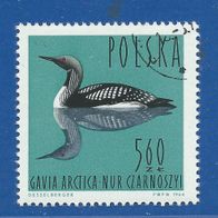 Polen - Tiere Vögel Prachttaucher 1964 Mi.-Nr. 1497 gest. (3106)