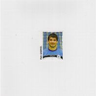 1 Panini Sammelbild Fußball-Bundesliga 2004/2005 Nr. 43: Petr Gabriel Bielefeld Neu