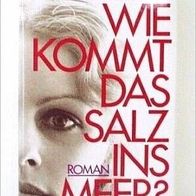 Brigitte Schwaiger: Wie kommt das Salz ins Meer? Roman, gebunden, neu - LVP 14,90 EUR