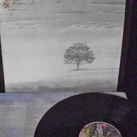 Genesis - Wind and wuthering - ´76 Charisma Lp - mint !!!