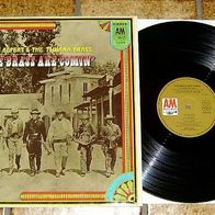 HERB ALPERT 12" LP THE Brass are comin´ deutsche AM Records von 1969