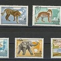 Tiersatz kompl. mit Elefant, Löwe, Nashorn, Gepard, Leopard