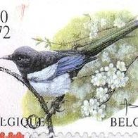 048 Belgien - Belgique-Belgie, Wert 150 (3,72) - Elster