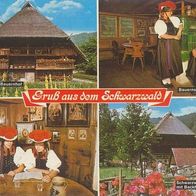 Schwarzwald - Vogtsbauernhof Gutach - gelaufen 1991 #k20