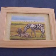 3-D Bild - Zebra mit Baby kl