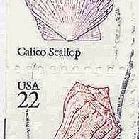 039 USA - Wert 22 - Calico Scallop und Lightning Whelk