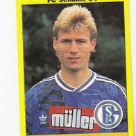Panini Fussball 1994 Ingo Anderbrügge FC Schalke 04 Nr 144