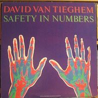 David Van Tieghem - Safety In Numbers LP