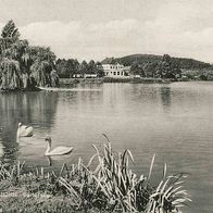 AK Iserlohn, Seilersee, Sauerland, Schwäne, Segelboot