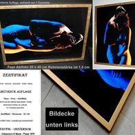 1 neues limitiertes Erotik Aktfoto in Goldfarbenem Bilderrahmen + Zertifikat