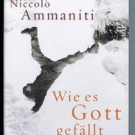 Buch Niccolo Ammaniti "Wie es Gott gefällt (Gebunden)