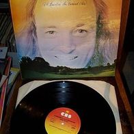 Terry Riley (elektr. Musik) - A rainbow in curved air - Lp -1a