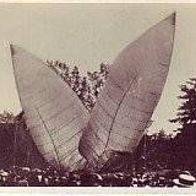 Orami Helden der Luft Bd I Santos Dumont Brasilien Bild Nr 11