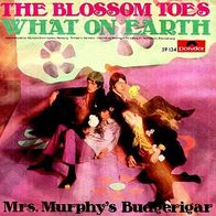 Blossom Toes (Pre Family) - What On Earth - 7" - Polydor 59 134 (D)