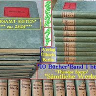 10 Bücher * Band 1-10 * Theodor Storm * Sämtliche Werke * ALT + RAR