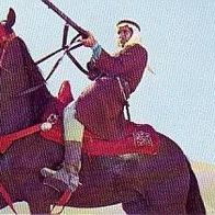 Eikon Durchs wilde Kurdistan Bild Nr 361