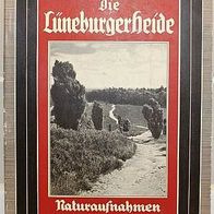 Der Eiserne Hammer: Die Lüneburger Heide, Naturaufnahmen, ca. 1935, 3. Reich