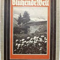 Der Eiserne Hammer: Blühende Welt, Blüten Baumblüte Blumen, ca. 1935, 3. Reich