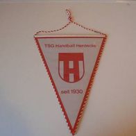 Wimpel TSG Handball Herdecke Neu