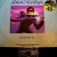 Steve Miller Band - 12" Abracadabra (long version (5:10)