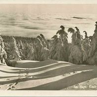 alte AK Harz, Brockenwald, über den Wolken 1953