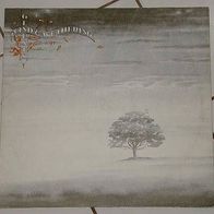 12"GENESIS · Wind And Wuthering (RAR 1976)