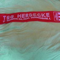 Schal Fanschal TSG Herdecke 2. Bundesliga Handball Neu