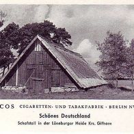 Paicos Schafstall in der Lüneburger Heide Krs Gifhorn Bild Nr 18