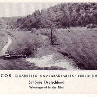 Paicos Wiesengrund i.d. Eifel Bild Nr 84
