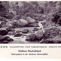 Paicos Gebirgsbach in der Strohner Schweiz/ Eifel Bild Nr 88