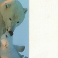 Lesezeichen Polar bears, Canada, 20 cm x 5,5 cm