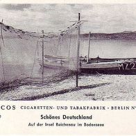 Paicos Auf der Insel Reichenau im Bodensee Bild Nr 160