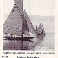 Paicos Segel - Regatta auf dem Bodensee Bild Nr 162