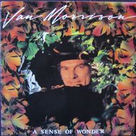Van Morrison - a sense of wonder - LP - 1984 - Celtic Soul - Folkrock