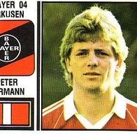 Panini Fussball 1981 Peter Hermann SV Bayer 04 Leverkusen Bild 301