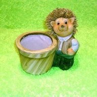 Igel-Mann mit Pflanztöpfchen aus Keramik handbemalt