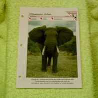 Afrikanischer Elefant - Informationskarte über