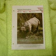 Indisches Panzernashorn - Informationskarte über