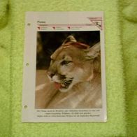 Puma - Informationskarte über