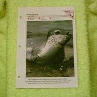 Seeleopard - Informationskarte über