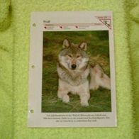 Wolf - Informationskarte über