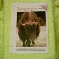 Yak - Informationskarte über