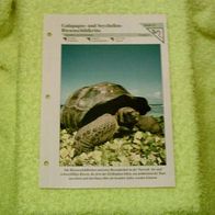 Galapagos- und Seychellen-Riesenschildkröte - Informationskarte über