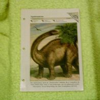 Apatosaurus - Informationskarte über